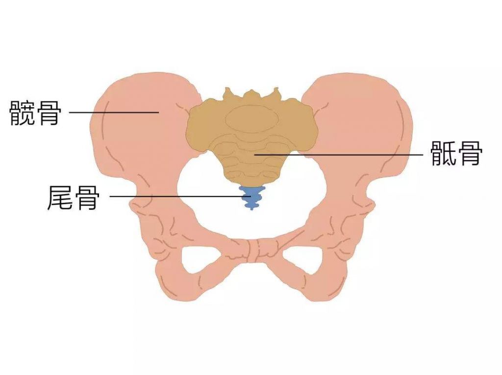 姿態(tài)分析儀