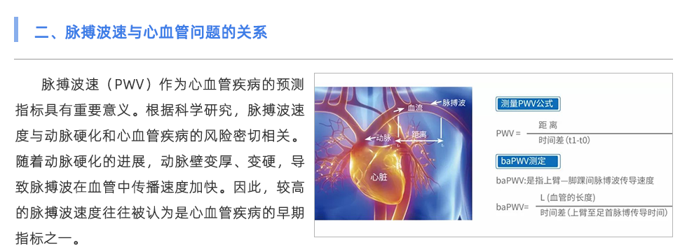 脈搏波速測(cè)定儀