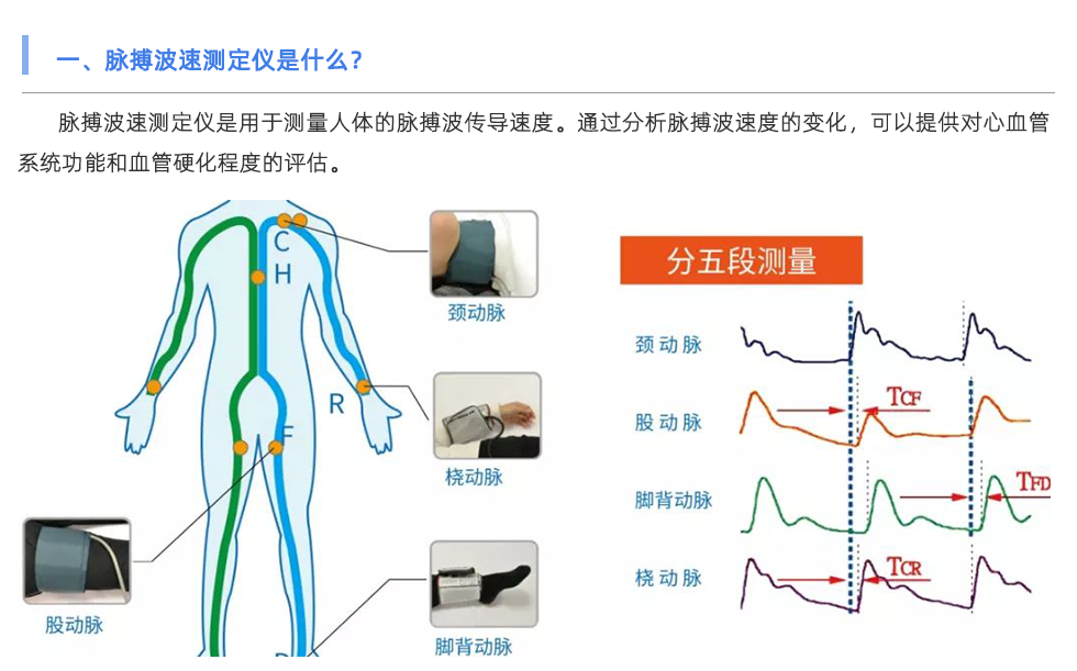 脈搏波速測(cè)定儀