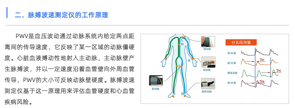 脈搏波速測定儀