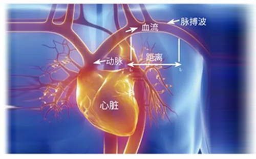 動脈硬化檢測儀