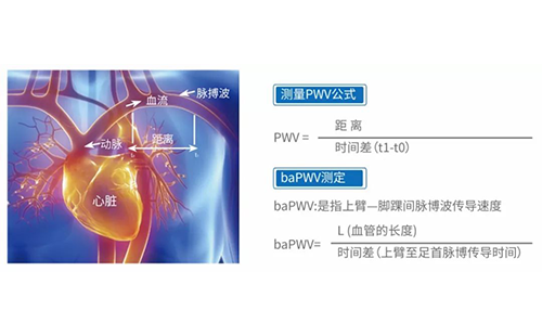 動脈硬化檢測儀