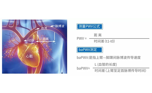 脈搏波速測(cè)定儀