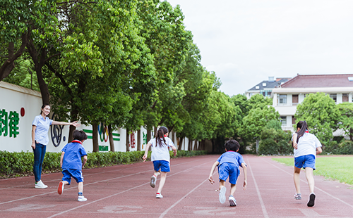 體能測(cè)試儀